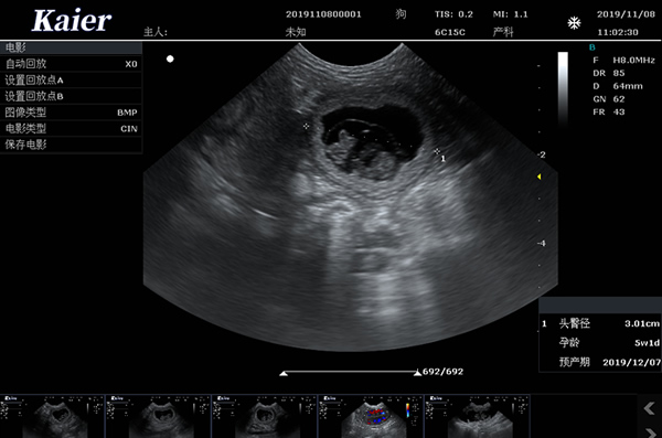 C80宠物彩超机微凸孕囊孕周测量