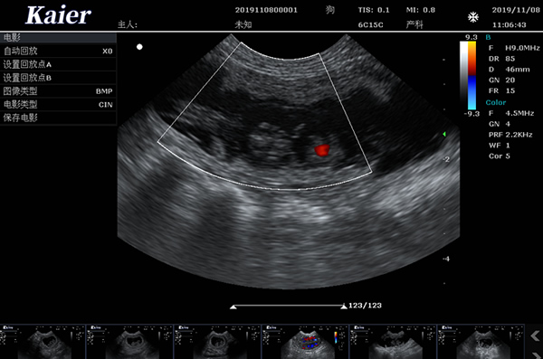 宠物医院C80宠物彩超孕囊心脏血流
