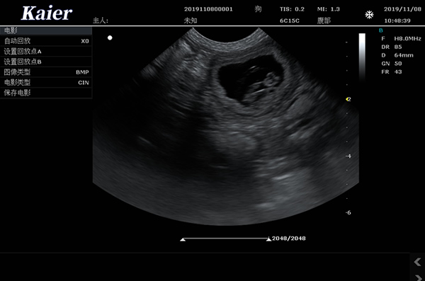 兽用B超C80宠物彩超机宠物孕检