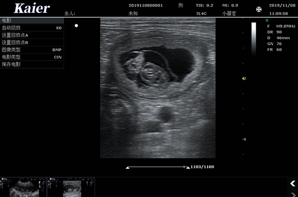 宠物医院用C80宠物彩超机母犬孕检