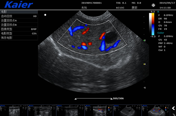 兽用B超S80宠物彩超机母犬孕检