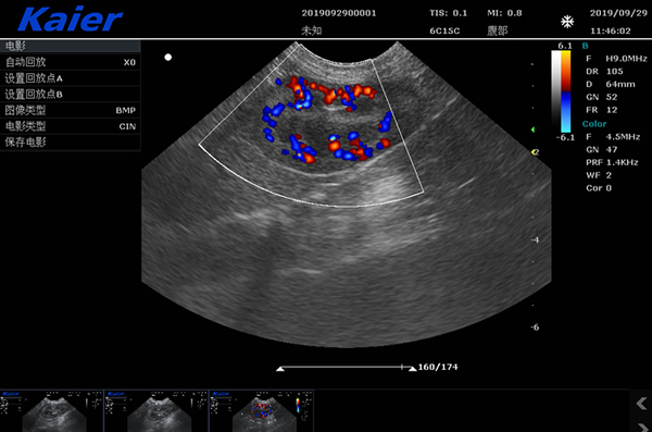 兽医站用宠物彩超机S80母犬孕检