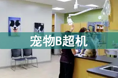 凯尔动物医疗宠物彩超机S80视频