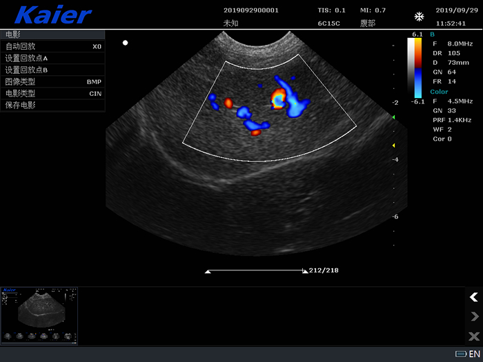 兽用B超宠物彩超S80母犬孕检组图