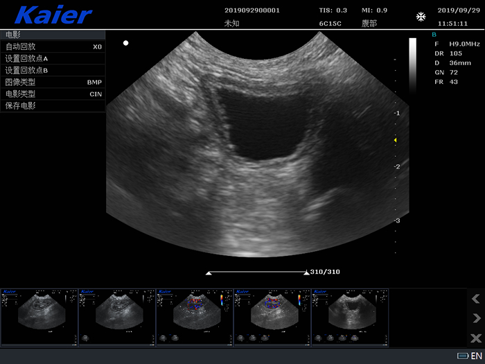 兽用B超宠物彩超S80母犬孕检组图