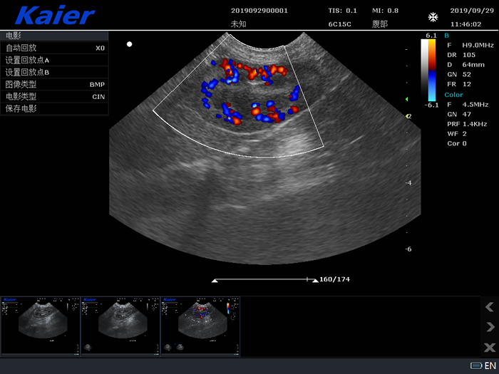 兽用B超宠物彩超S80母犬孕检组图