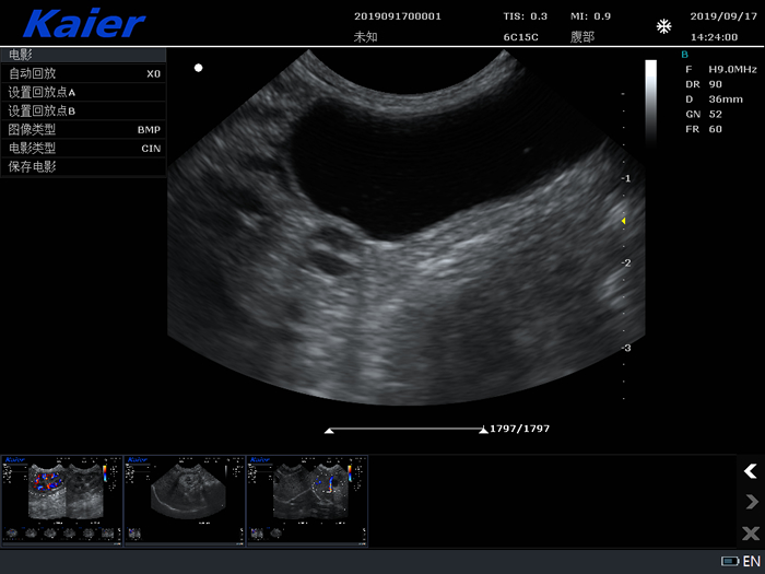 兽用B超宠物彩超S80母犬孕检组图