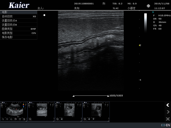 宠物医院用宠物彩超机高频线阵肠分层