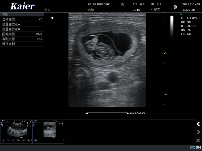 宠物医院用宠物彩超机高频线阵孕囊 肺部