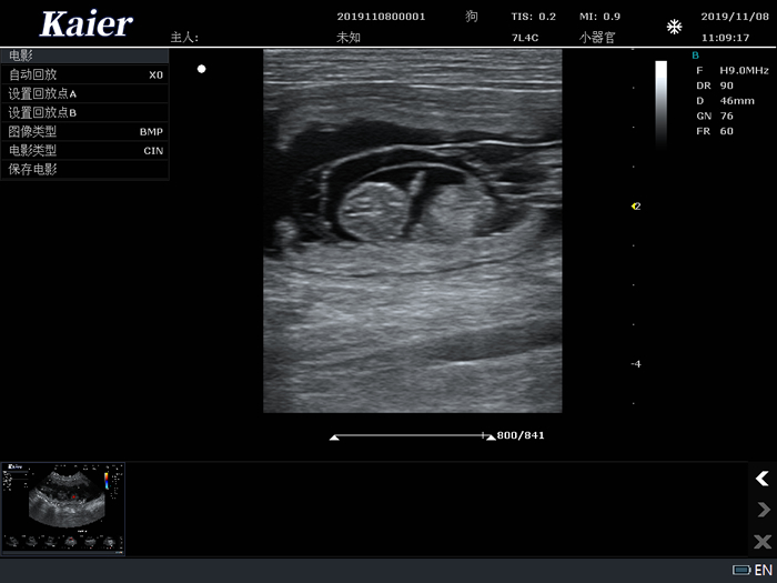 宠物医院用宠物彩超机高频线阵孕囊