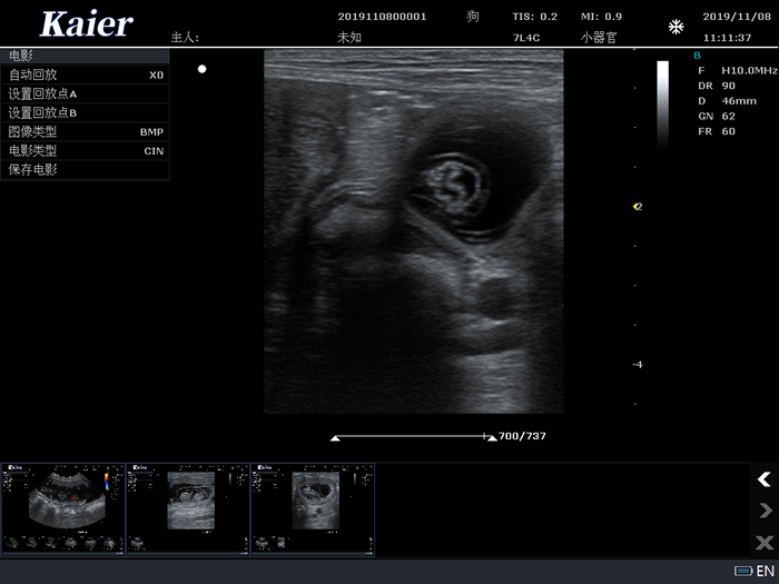宠物医院用宠物彩超机高频线阵孕囊