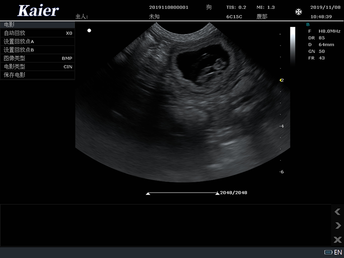 兽用B超C80宠物彩超机母犬孕检微凸孕囊