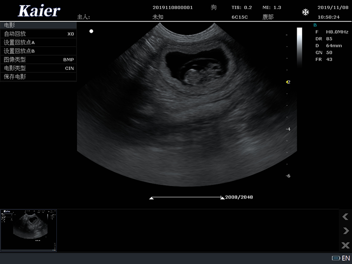 兽用B超C80宠物彩超机母犬孕检微凸孕囊