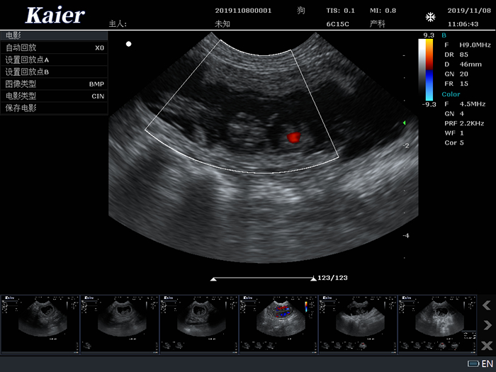 C80宠物彩超微凸孕囊心脏血流
