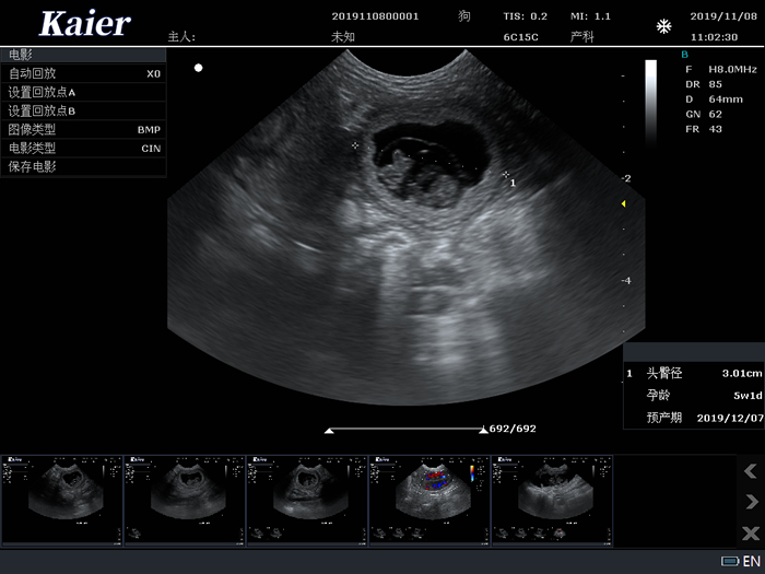 C80宠物彩超机微凸孕囊孕周测量