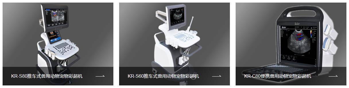 兽用B超机、猫狗鼠兔等宠物的宠物彩超机、猪牛羊驴马骆驼等牲畜孕检B超机B型超声诊断仪器
