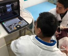 宠物医院用B超彩超机现场测量宠物狗狗怀孕情况